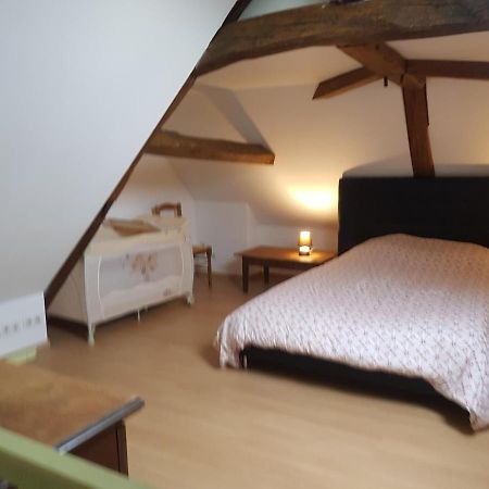 Chez Laiko Wifi Gratuit Villa Beaulieu-sur-Loire Buitenkant foto