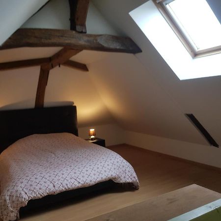 Chez Laiko Wifi Gratuit Villa Beaulieu-sur-Loire Buitenkant foto