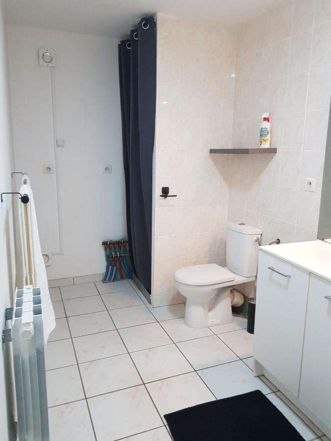 Chez Laiko Wifi Gratuit Villa Beaulieu-sur-Loire Buitenkant foto