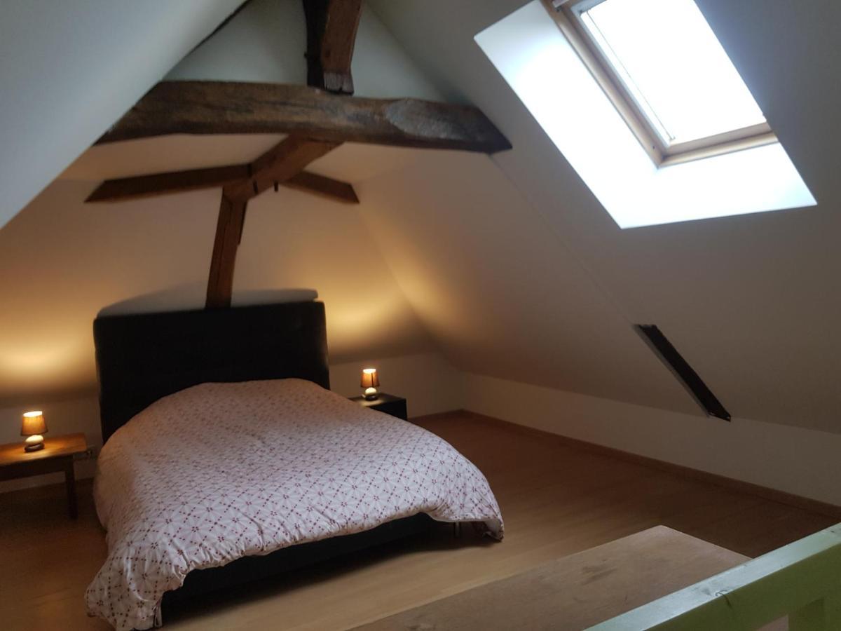 Chez Laiko Wifi Gratuit Villa Beaulieu-sur-Loire Buitenkant foto